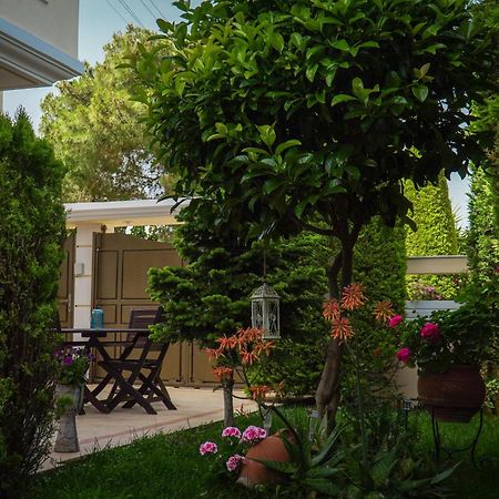 Cozy Artemis House Near Athens Airport Apartment Екстериор снимка