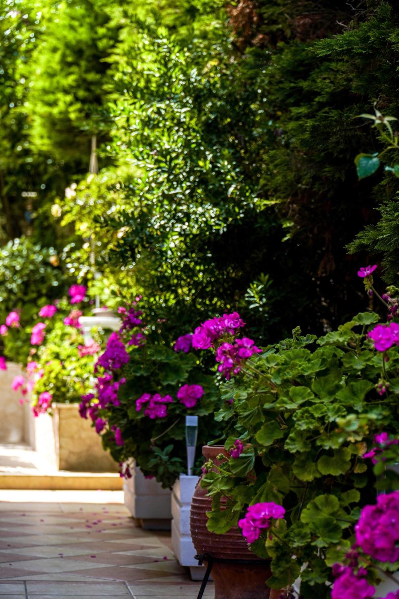 Cozy Artemis House Near Athens Airport Apartment Екстериор снимка