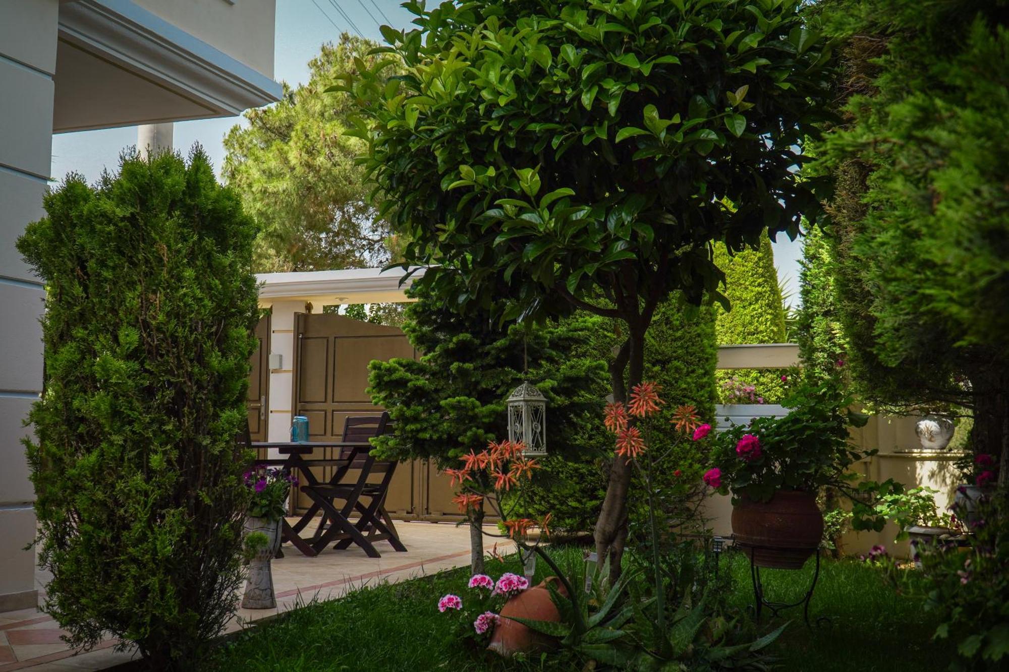 Cozy Artemis House Near Athens Airport Apartment Екстериор снимка